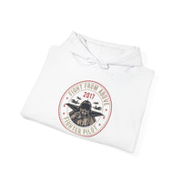 Fighter Pilot Hoodie - Adventure Inspired, Perfect for Aviation Lovers, Cozy Sweatshirt for Gift, Travel Gear, Vintage Style